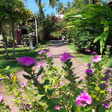 Hotel Casa Robinson ลาสแตร์เรนาส ภายนอก รูปภาพ