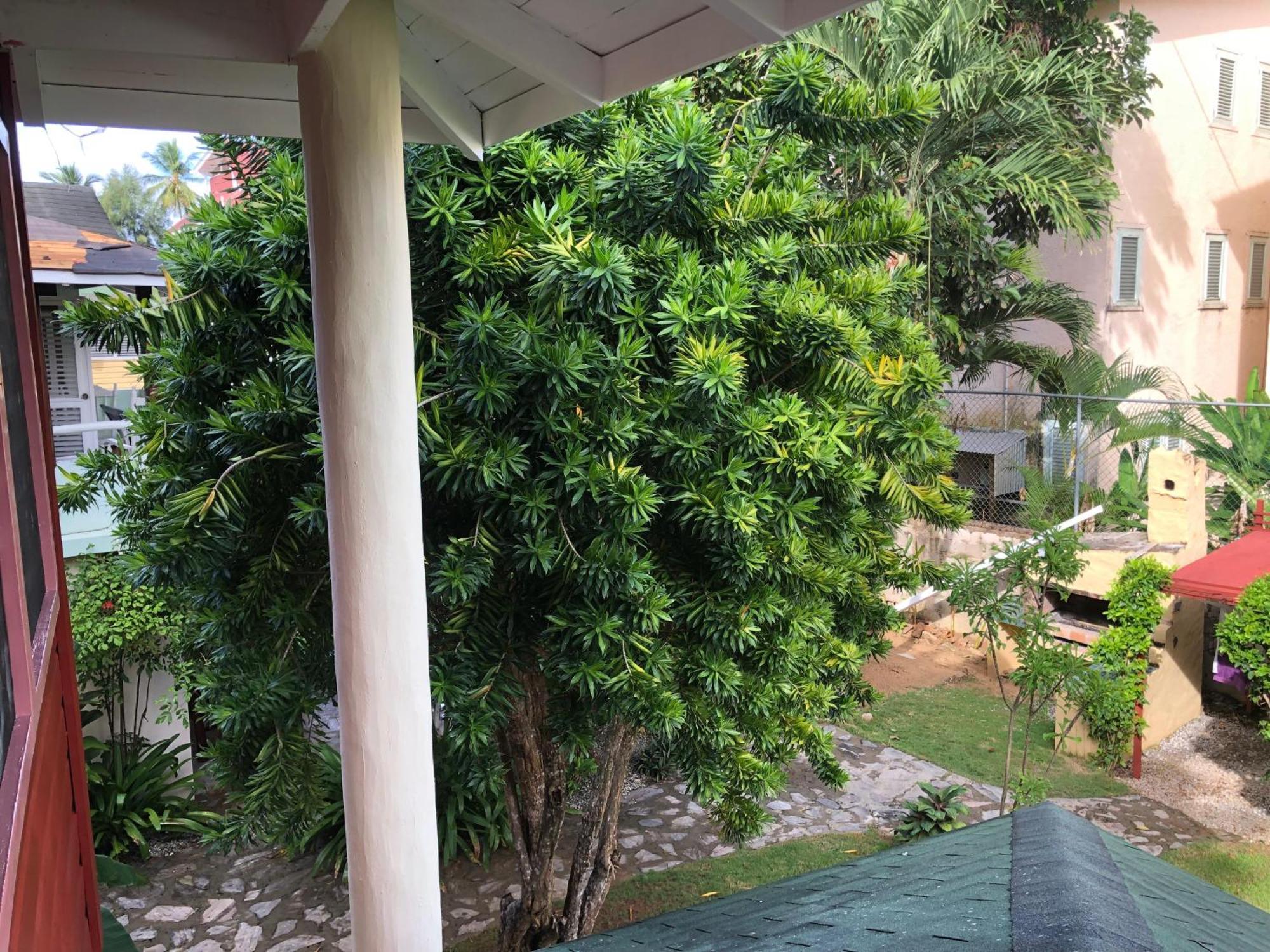 Hotel Casa Robinson ลาสแตร์เรนาส ภายนอก รูปภาพ