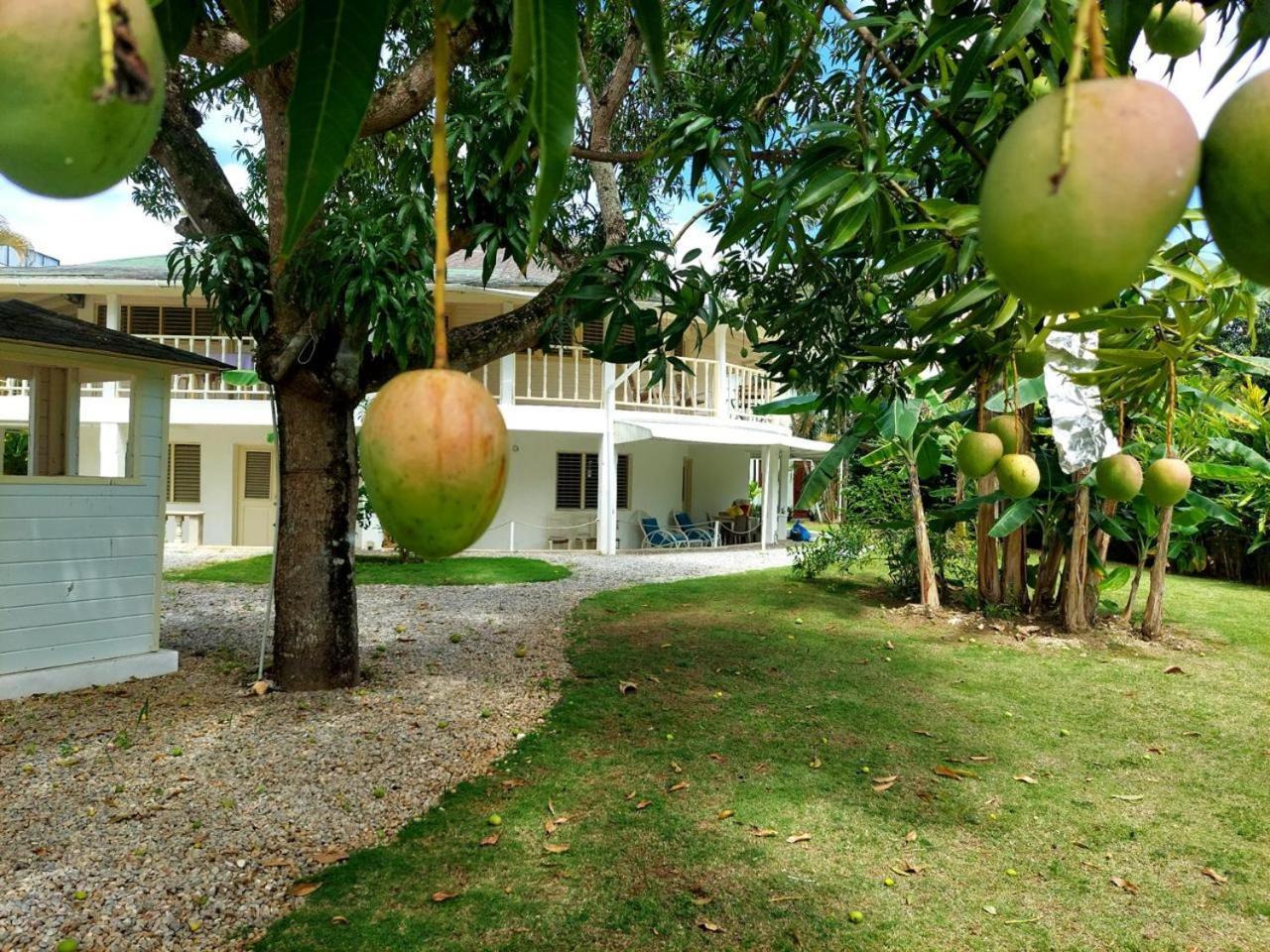 Hotel Casa Robinson ลาสแตร์เรนาส ภายนอก รูปภาพ