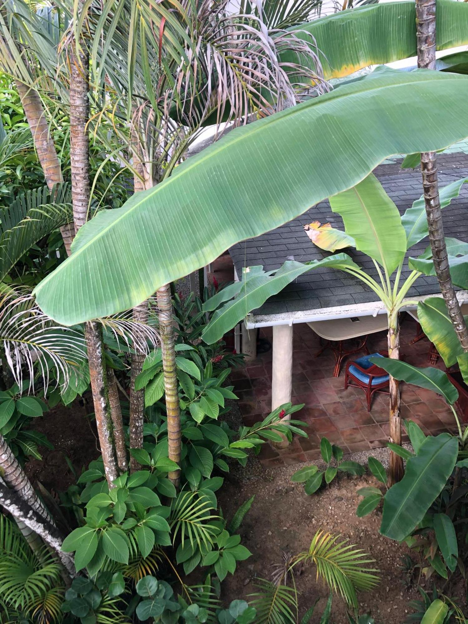 Hotel Casa Robinson ลาสแตร์เรนาส ภายนอก รูปภาพ