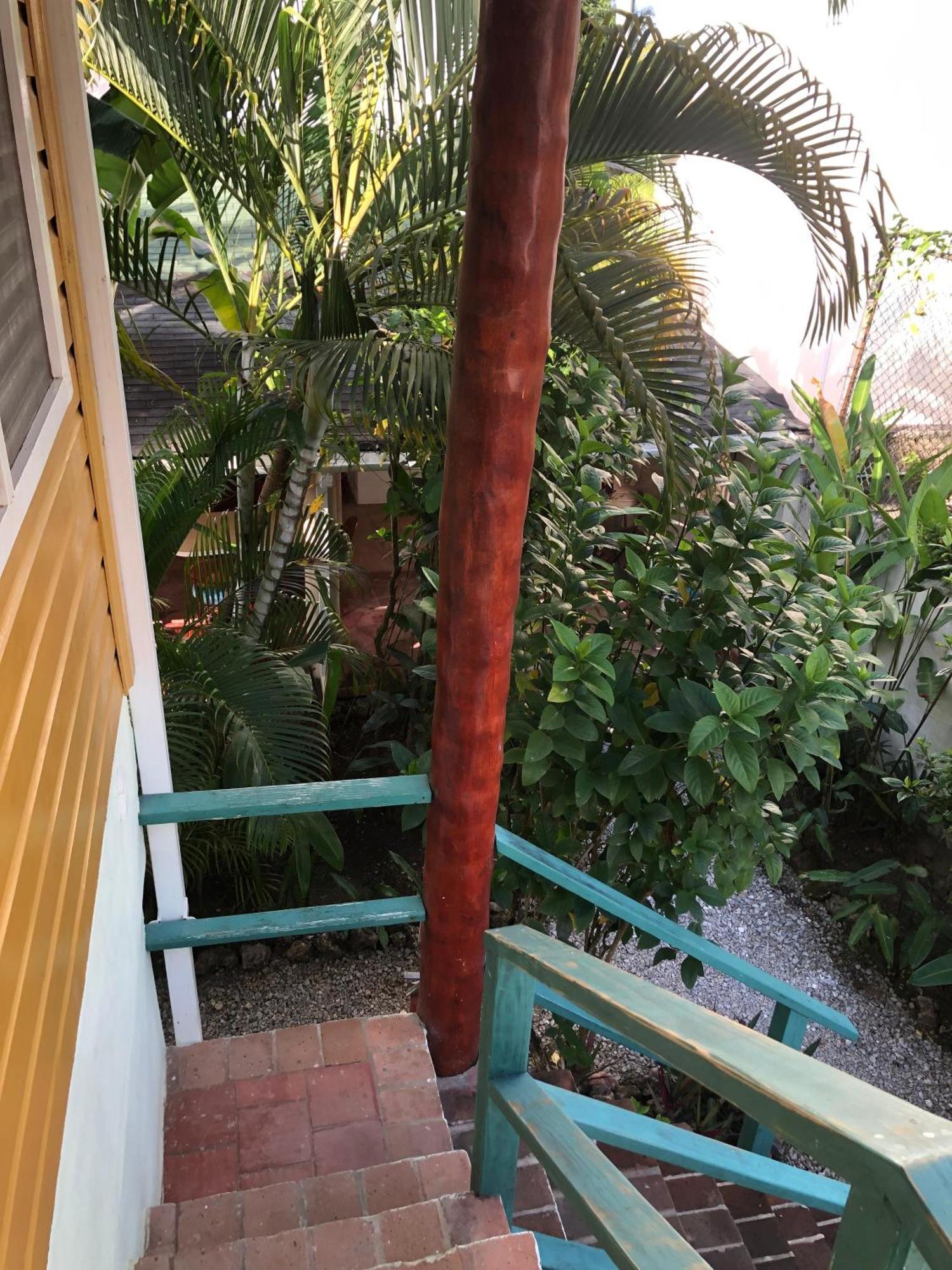 Hotel Casa Robinson ลาสแตร์เรนาส ภายนอก รูปภาพ