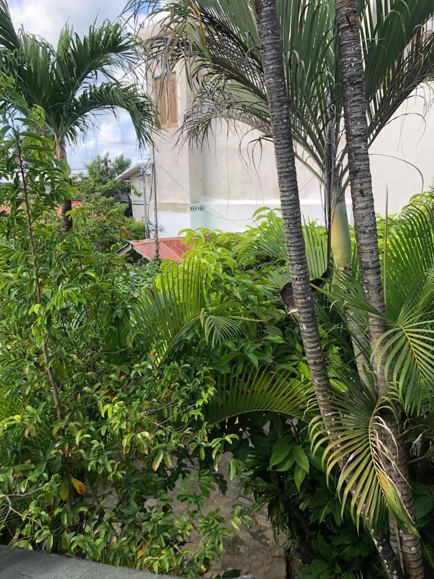 Hotel Casa Robinson ลาสแตร์เรนาส ภายนอก รูปภาพ