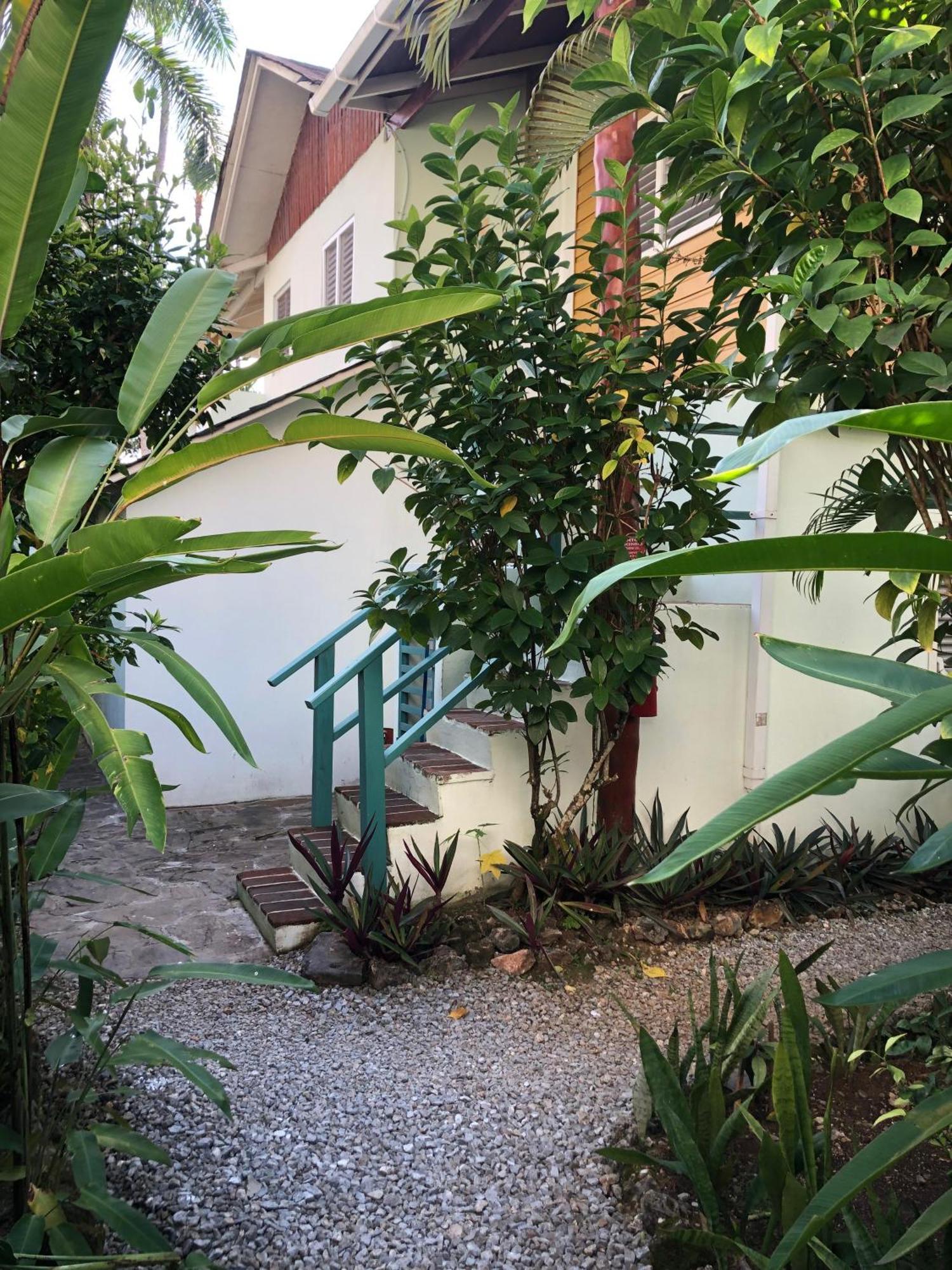 Hotel Casa Robinson ลาสแตร์เรนาส ภายนอก รูปภาพ